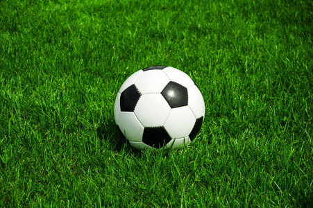 山猫直播网球手机版界面